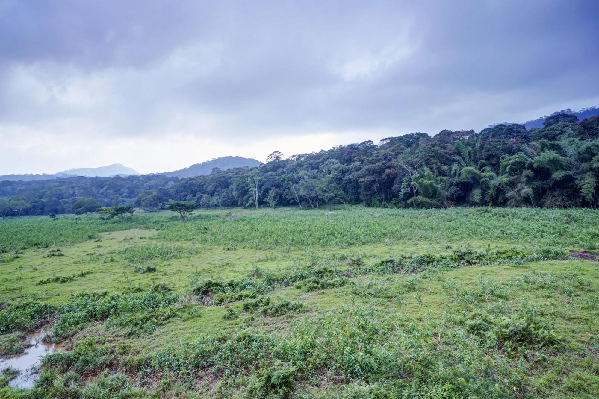 Oyo Flagship Meadow View Inn Thekkady Εξωτερικό φωτογραφία